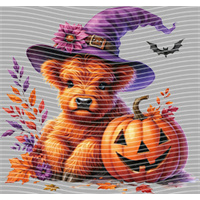 Halloween-WS 5765
